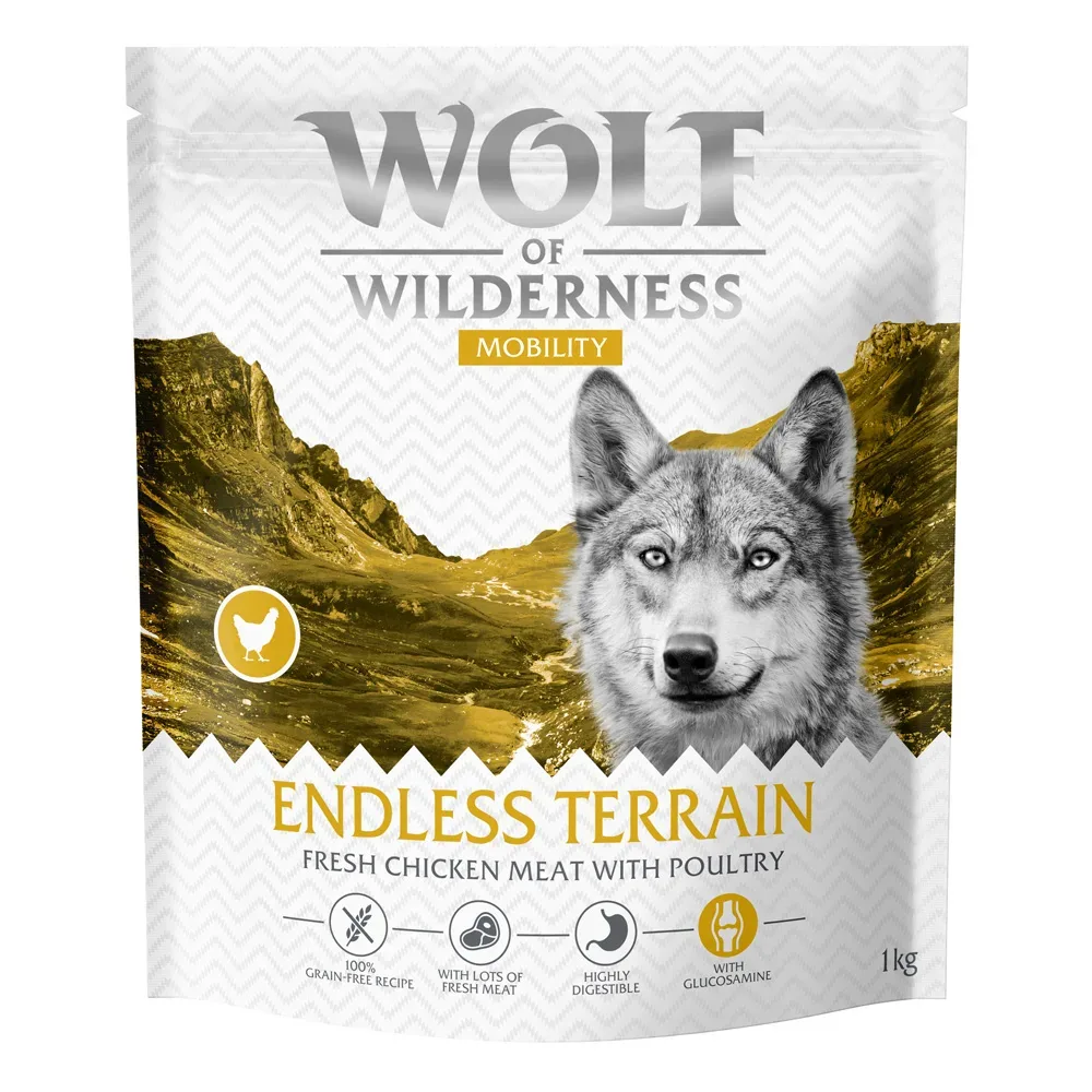 Wolf of Wilderness 