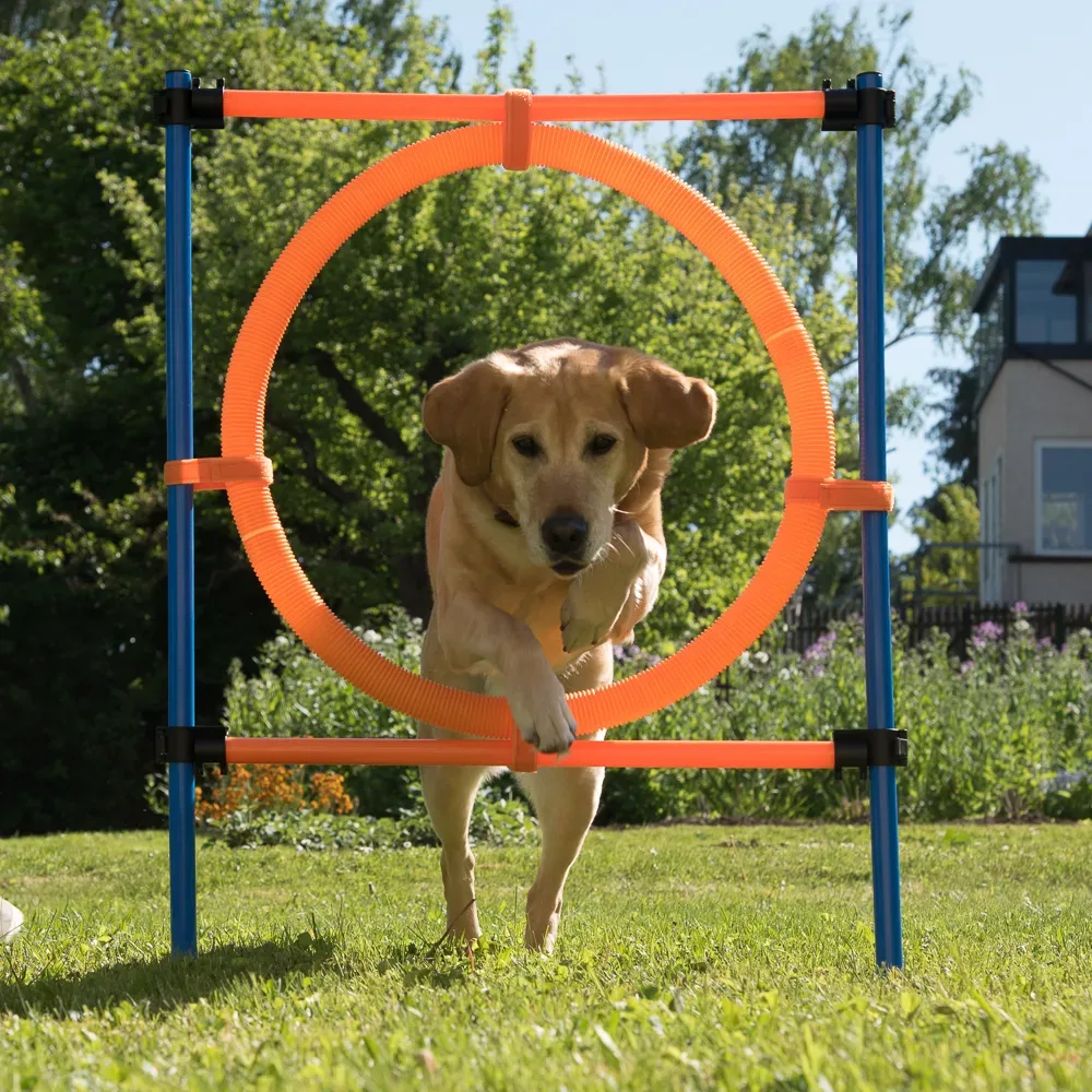 Agility Fun & Sport Sprungring - Komplettset, Sprungring Ø ca. 55  cm
