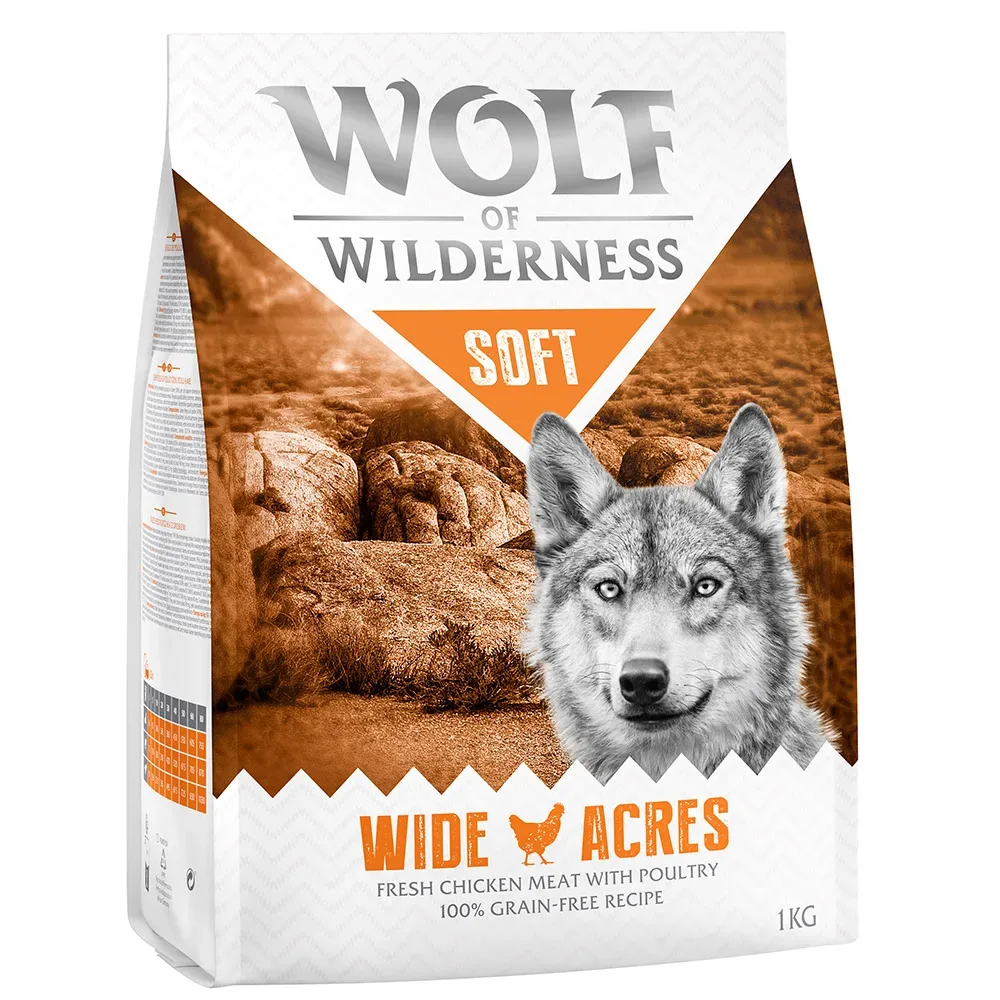 Wolf of Wilderness 