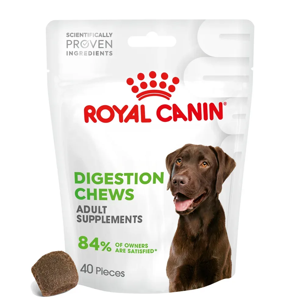Royal Canin Digestion Adult Supplement Kausnacks - 160 g (40 Stück)