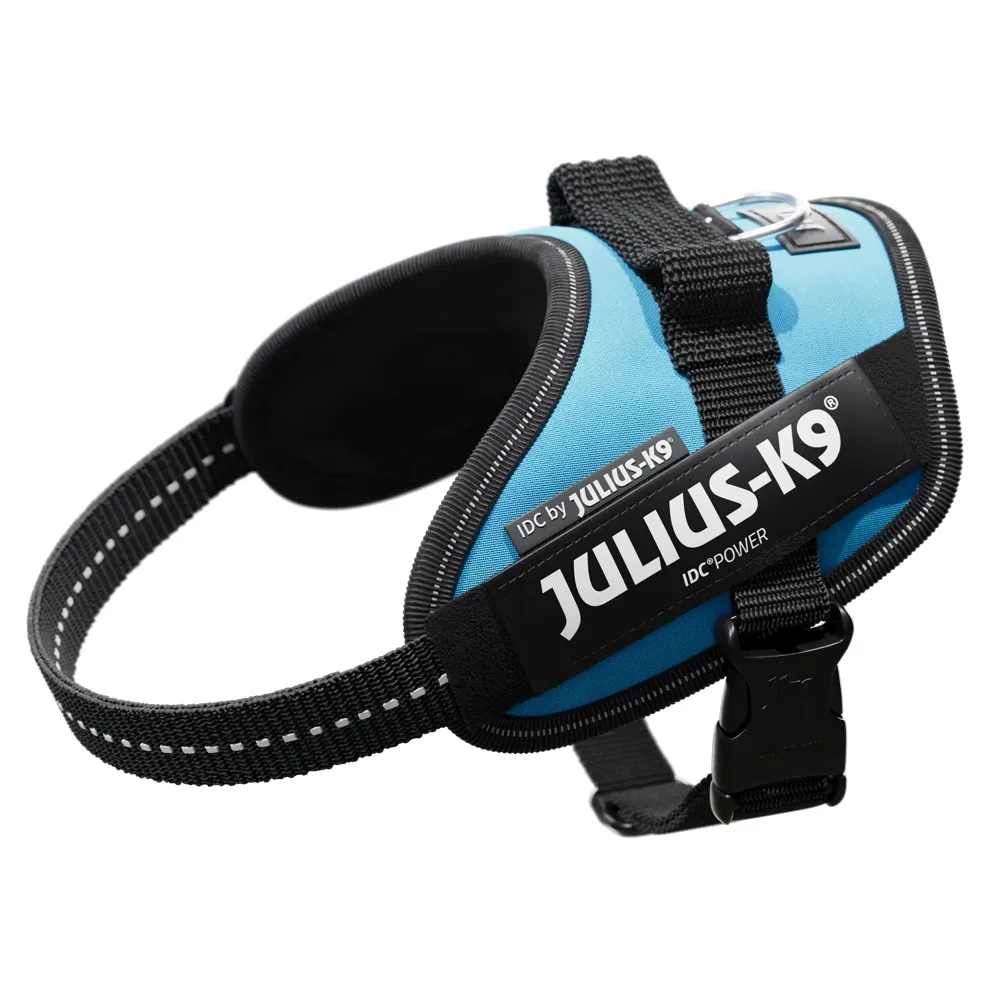 JULIUS-K9 IDC®-Powergeschirr - aquamarine - Grösse: L