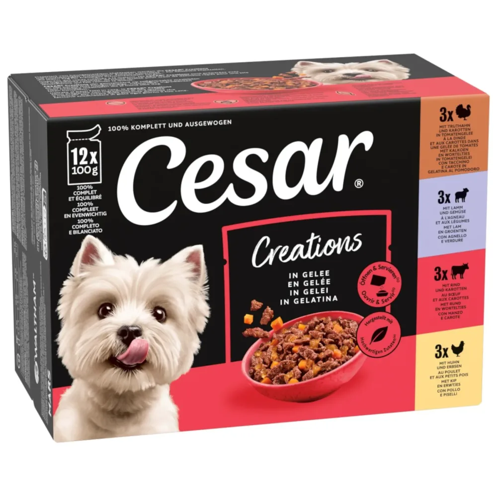 Cesar Creations Nassfutter Hund Adult 4 Variationen in Gelee 12x100g