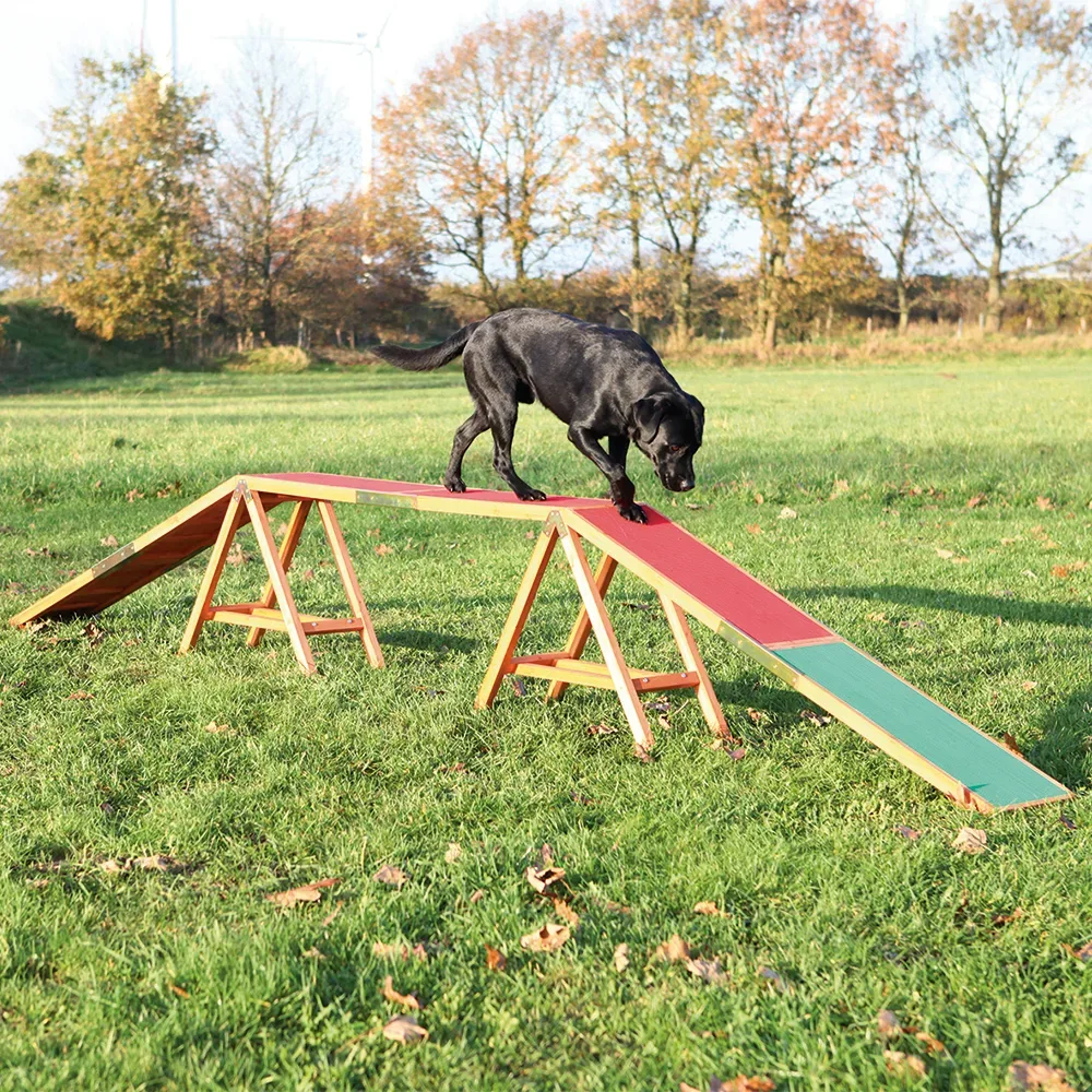 Trixie Dog Activity Agility Steg - L 456 x B 30 x H 64 cm