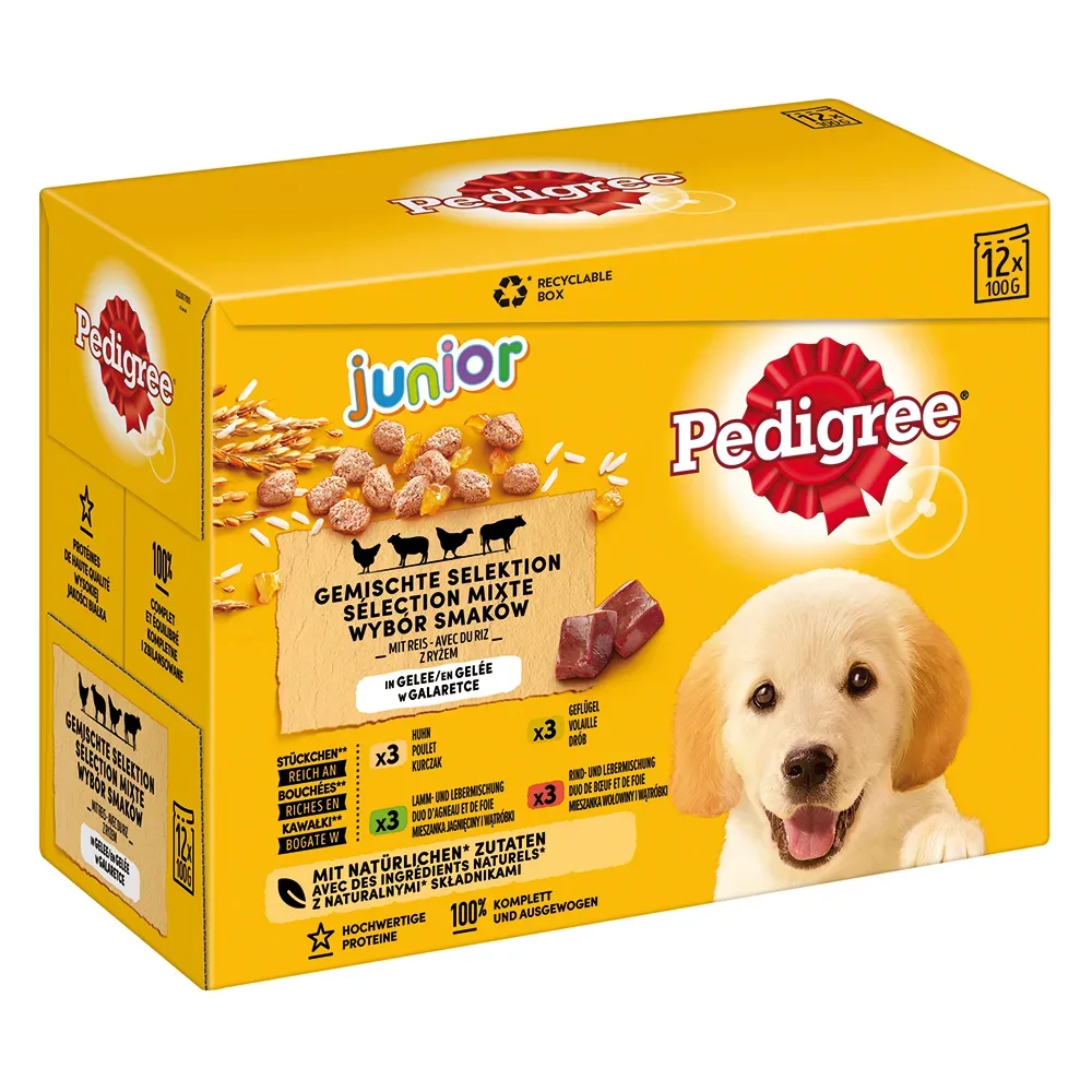 Pedigree Junior Frischebeutel Multipack - 48 x 100 g Gemischte Selektion in Gelee (4 Varietäten)