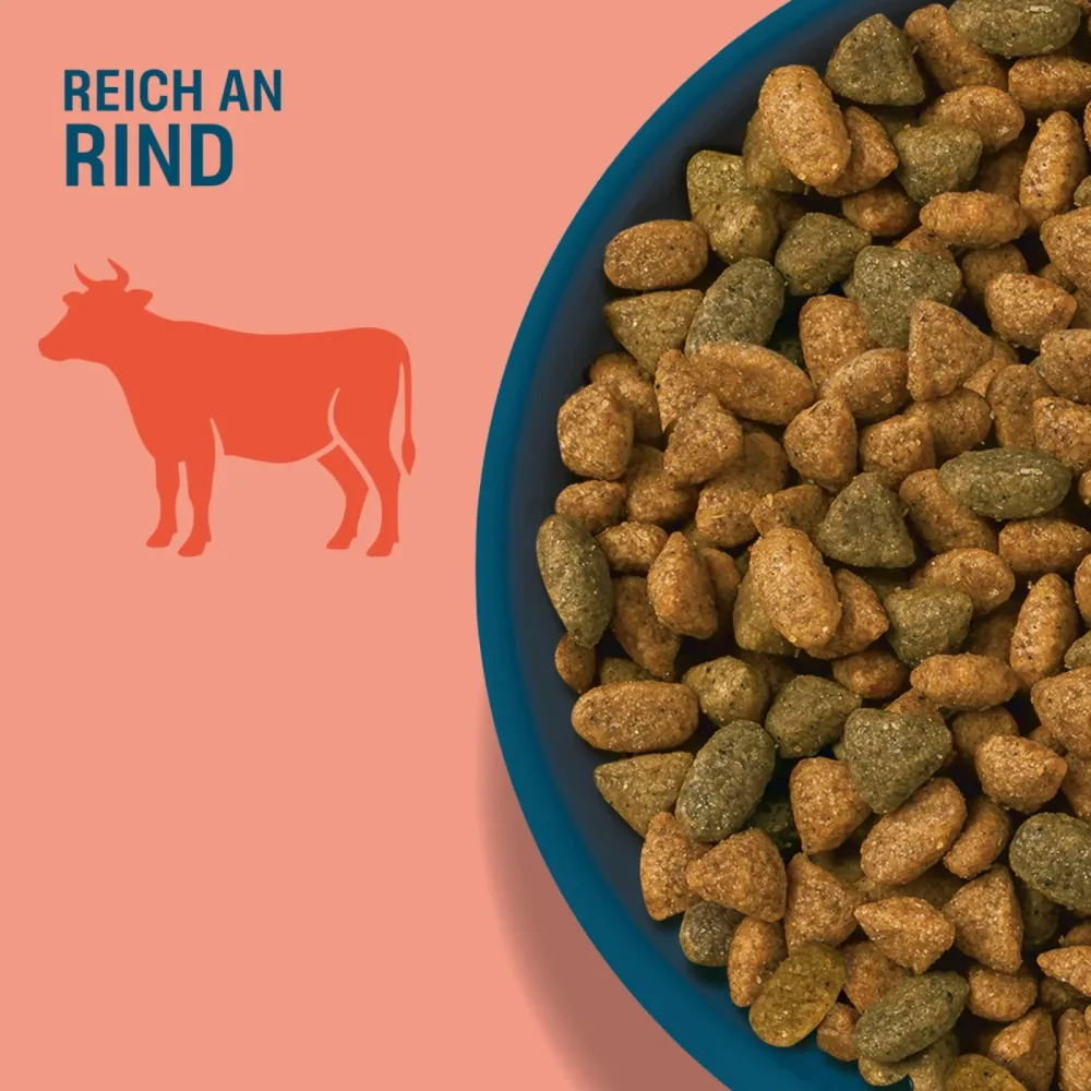 Perfect Fit Active 1+ Reich an Rind - Sparpaket: 5 x 1,4 kg