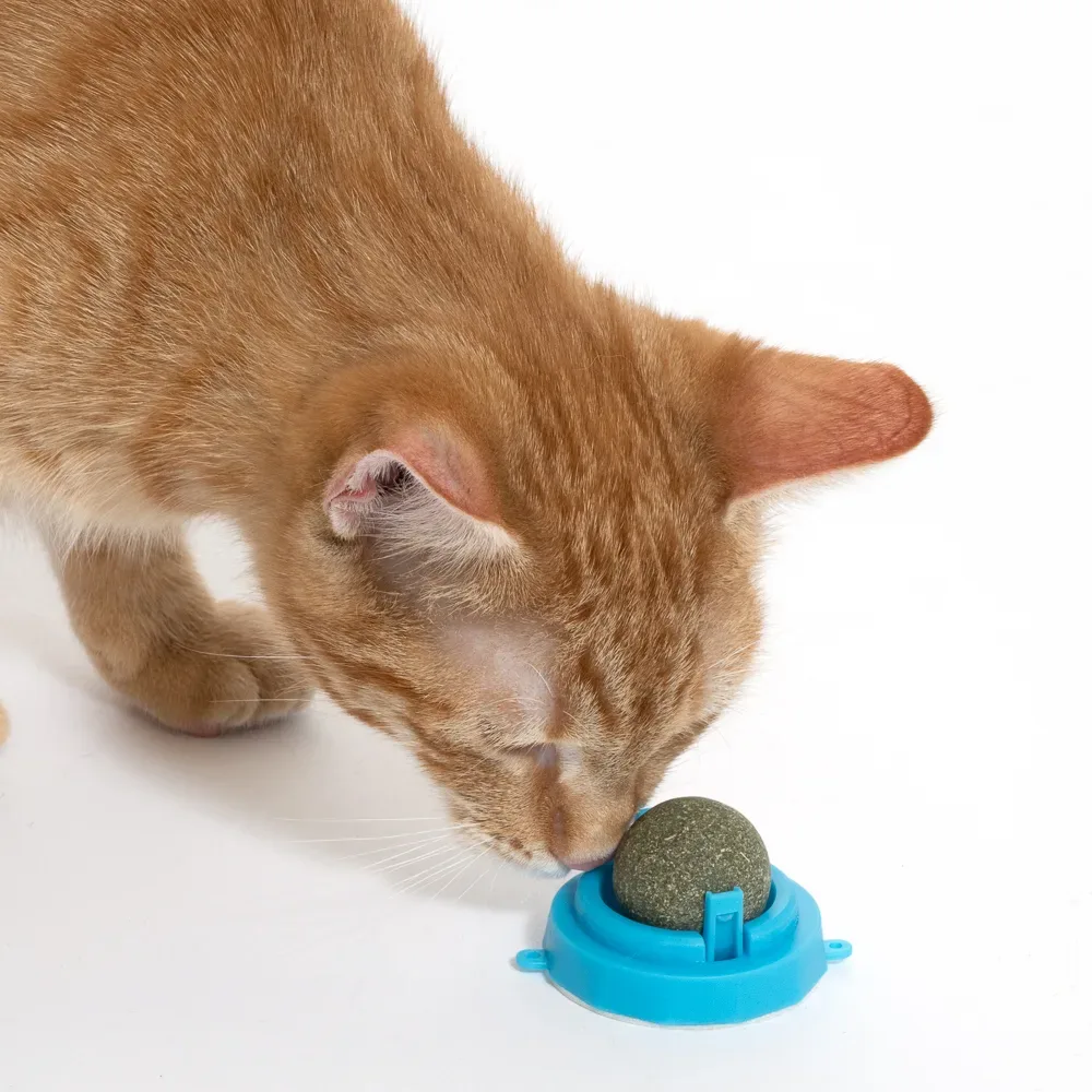 zooplus Basics Katzenminzeball - 5 x 5 x 4 cm, Blau