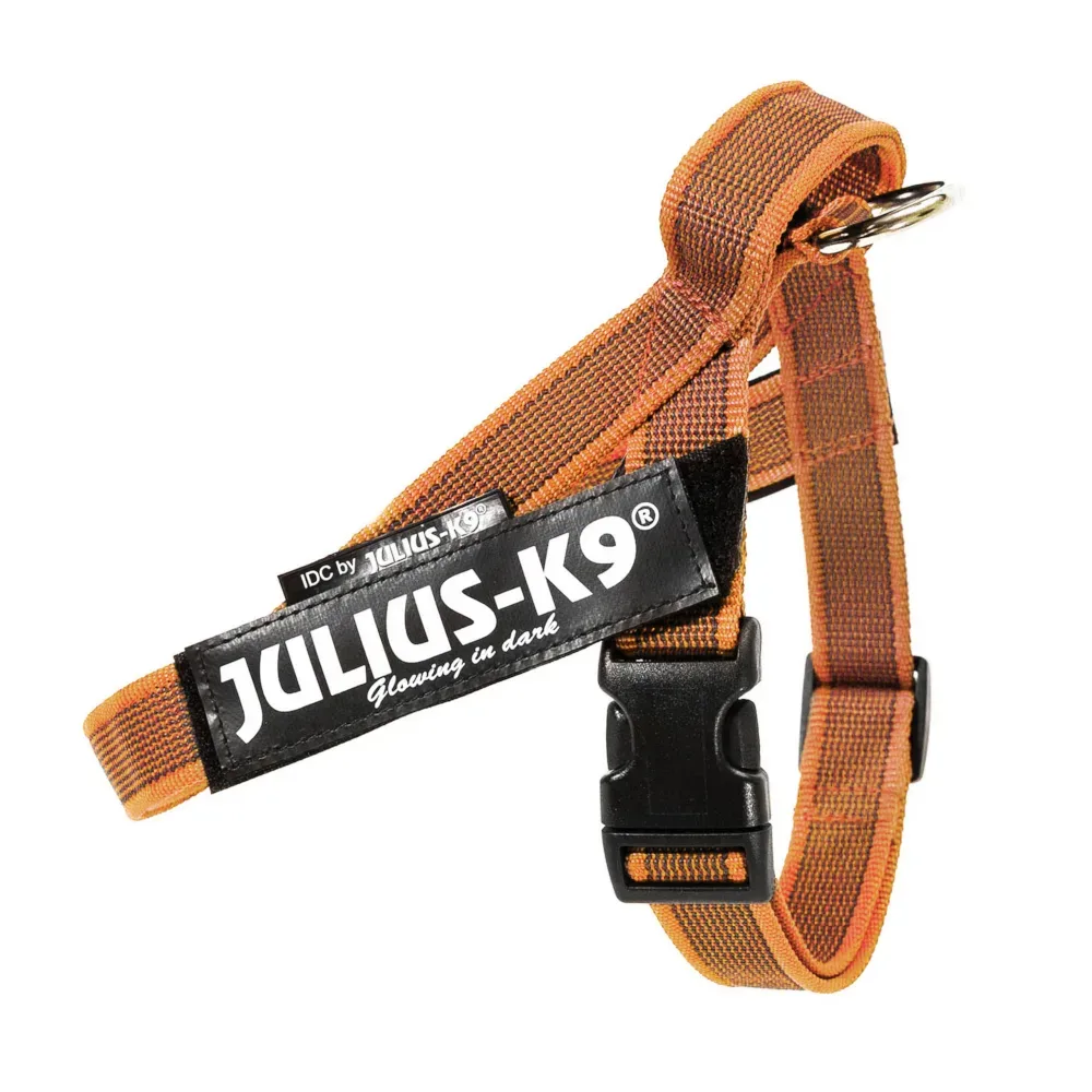 Julius-K9 IDC® Color & Grey Gurtgeschirr, orange/grau - Grösse: XL/2: Brustumfang 71 - 96 cm
