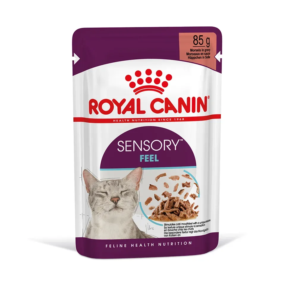 Royal Canin Sensory Feel in Sosse - Sparpaket: 24 x 85 g