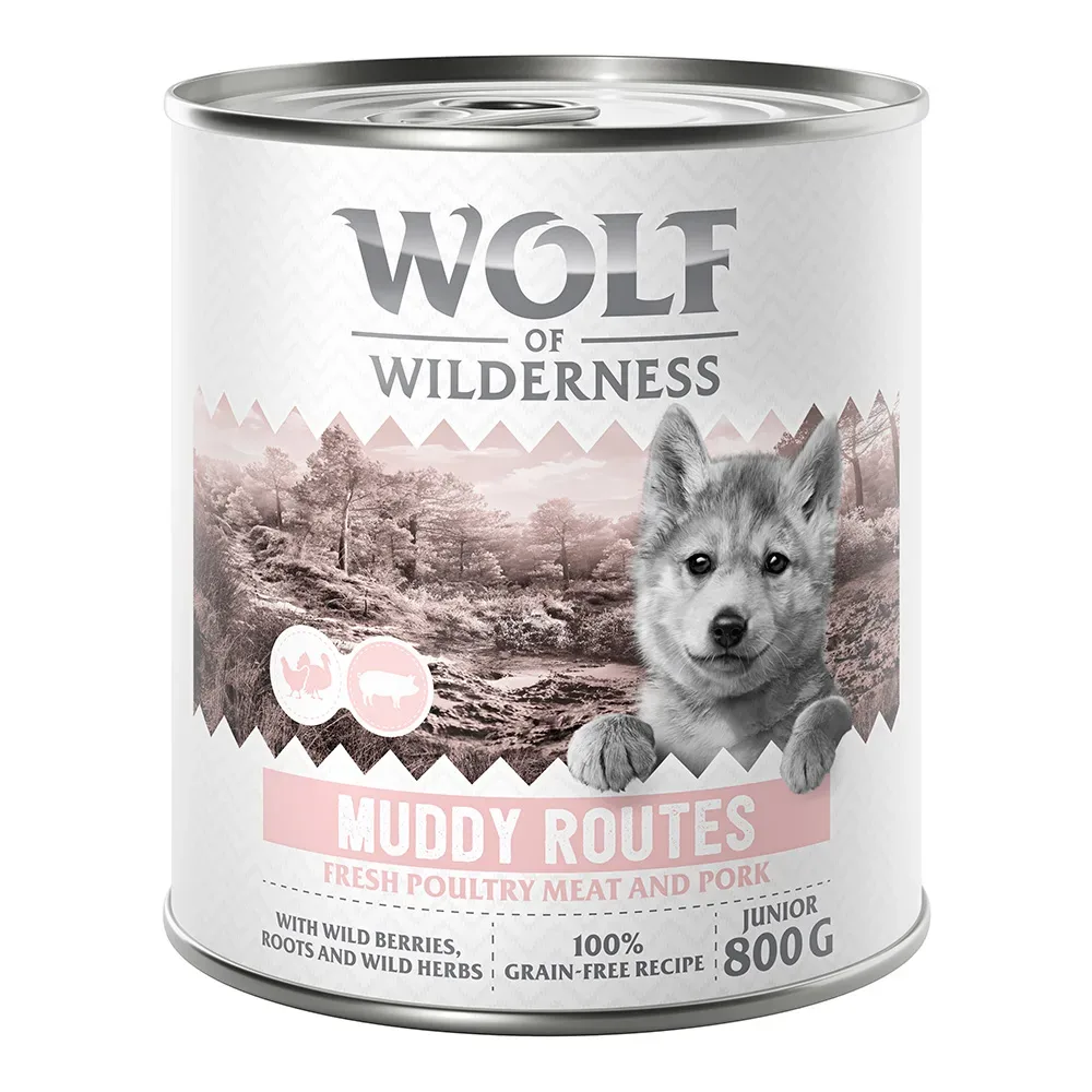 Wolf of Wilderness Junior - mit viel frischem Geflügel 6 x 800 g - Stony Creek - Geflügel mit Rind