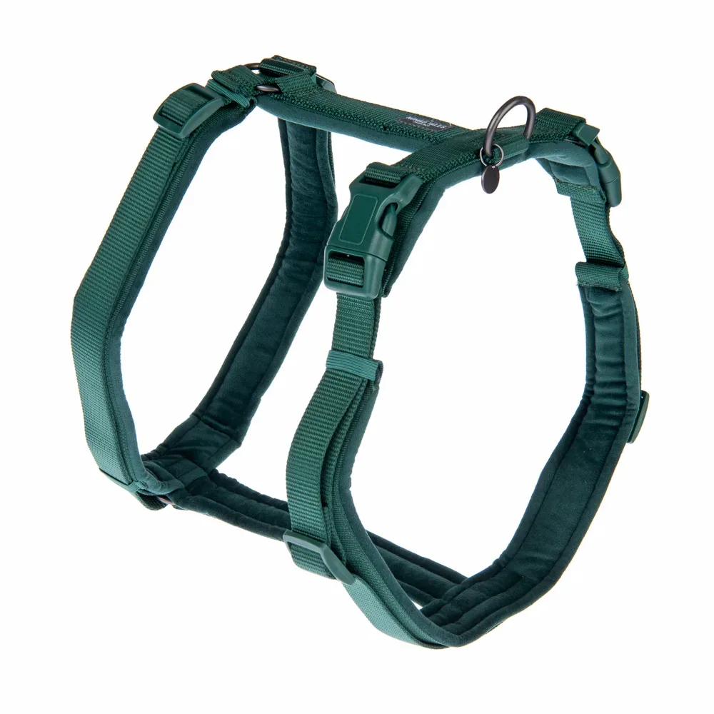 Nomad Tales Blush Geschirr, emerald - Grösse L: 60 - 91 cm Brustumfang, B 25 mm