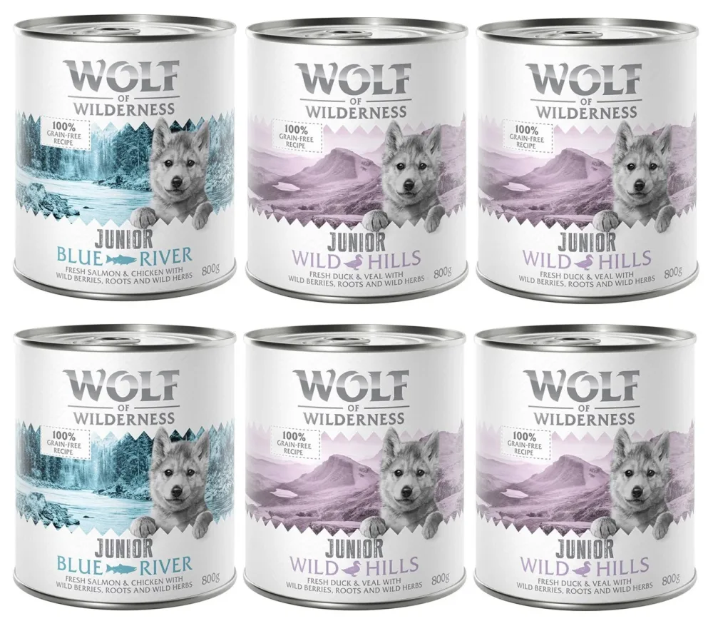 Sparpaket Wolf of Wilderness Junior 24 x 800 g - Duo-Protein - Mix (16x Ente & Kalb / 8x Huhn & Lachs)