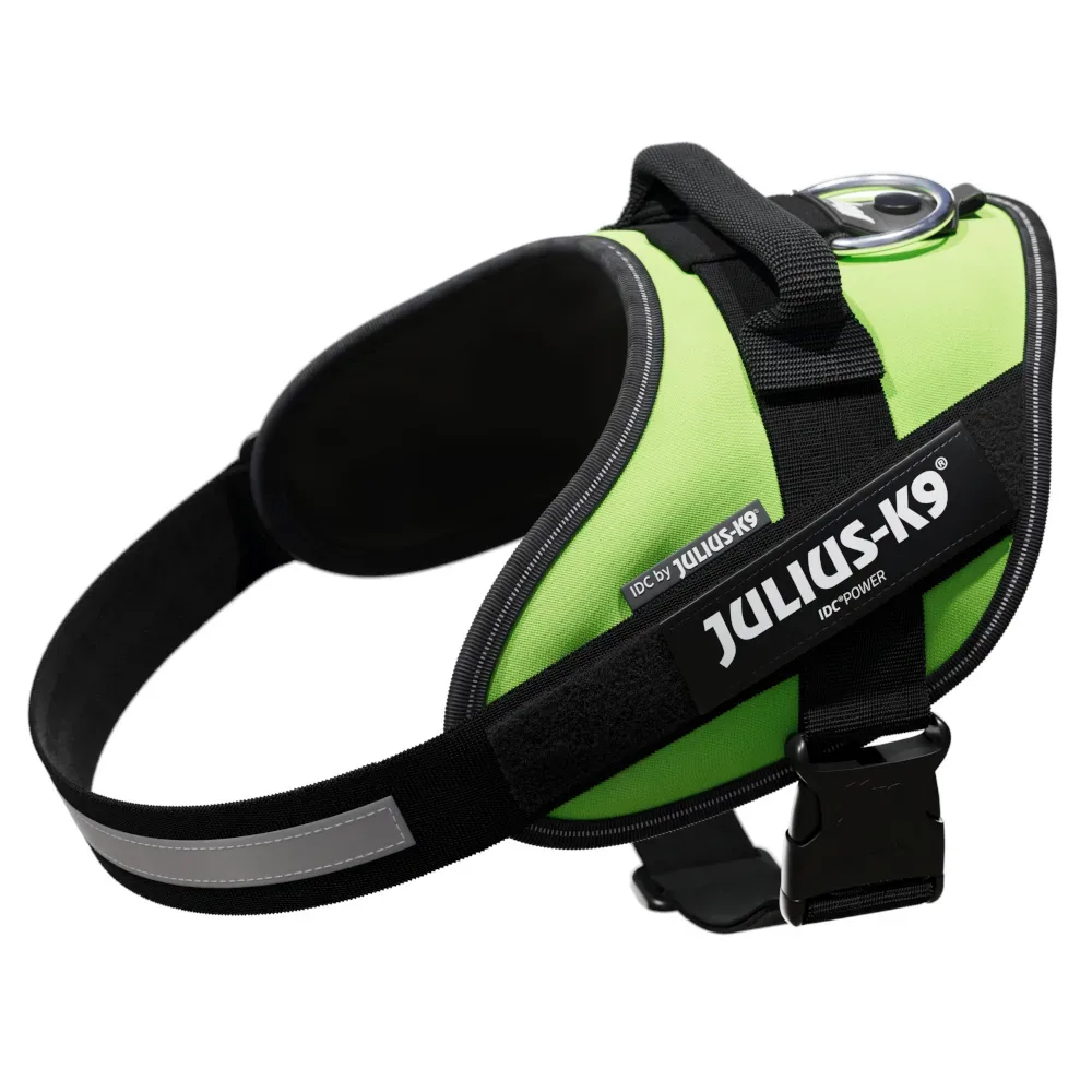 Julius-K9 IDC®-Powergeschirr - neon grün - Grösse M: Brustumfang 58 - 76 cm