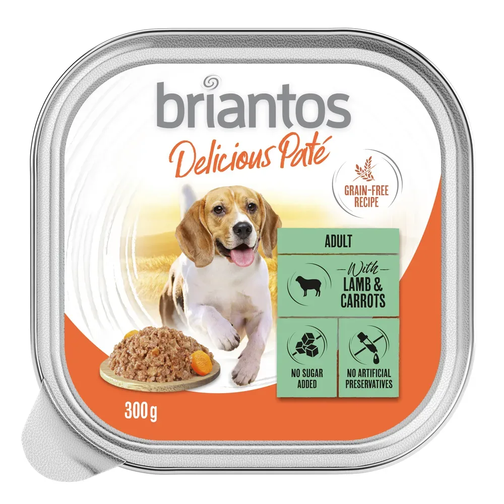 Briantos Delicious Paté 9 x 300 g - Lamm und Karotten