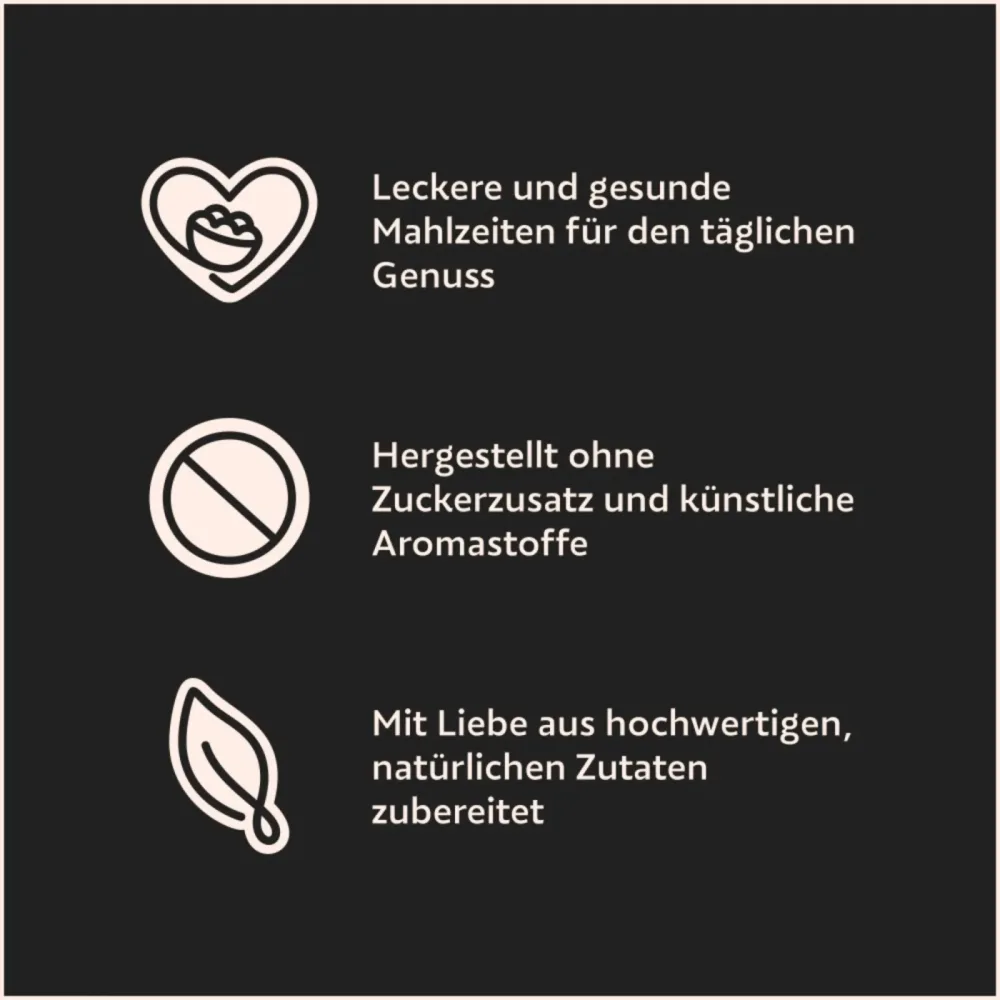Cesar Mega Pack - Ländliche Eintopfgerichte für erwachsene Hunde