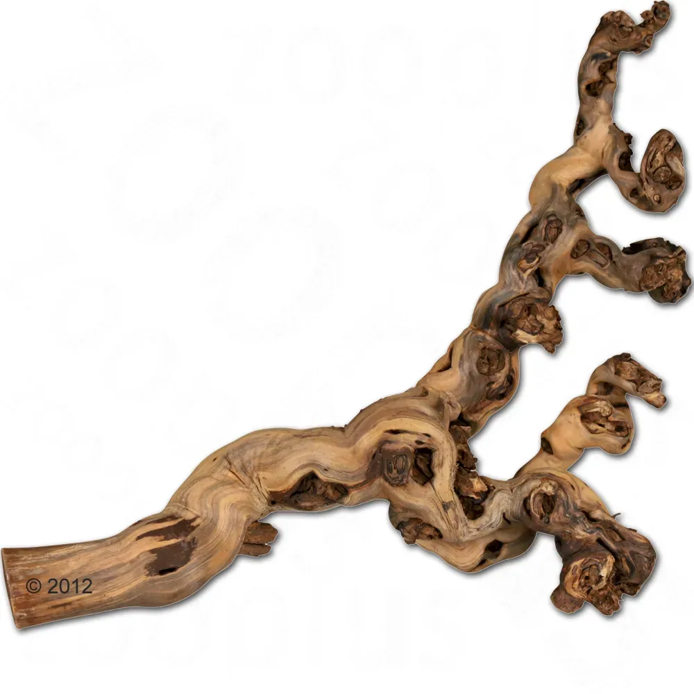 Trixie sandgestrahlte Weinreben - 40 - 60 cm