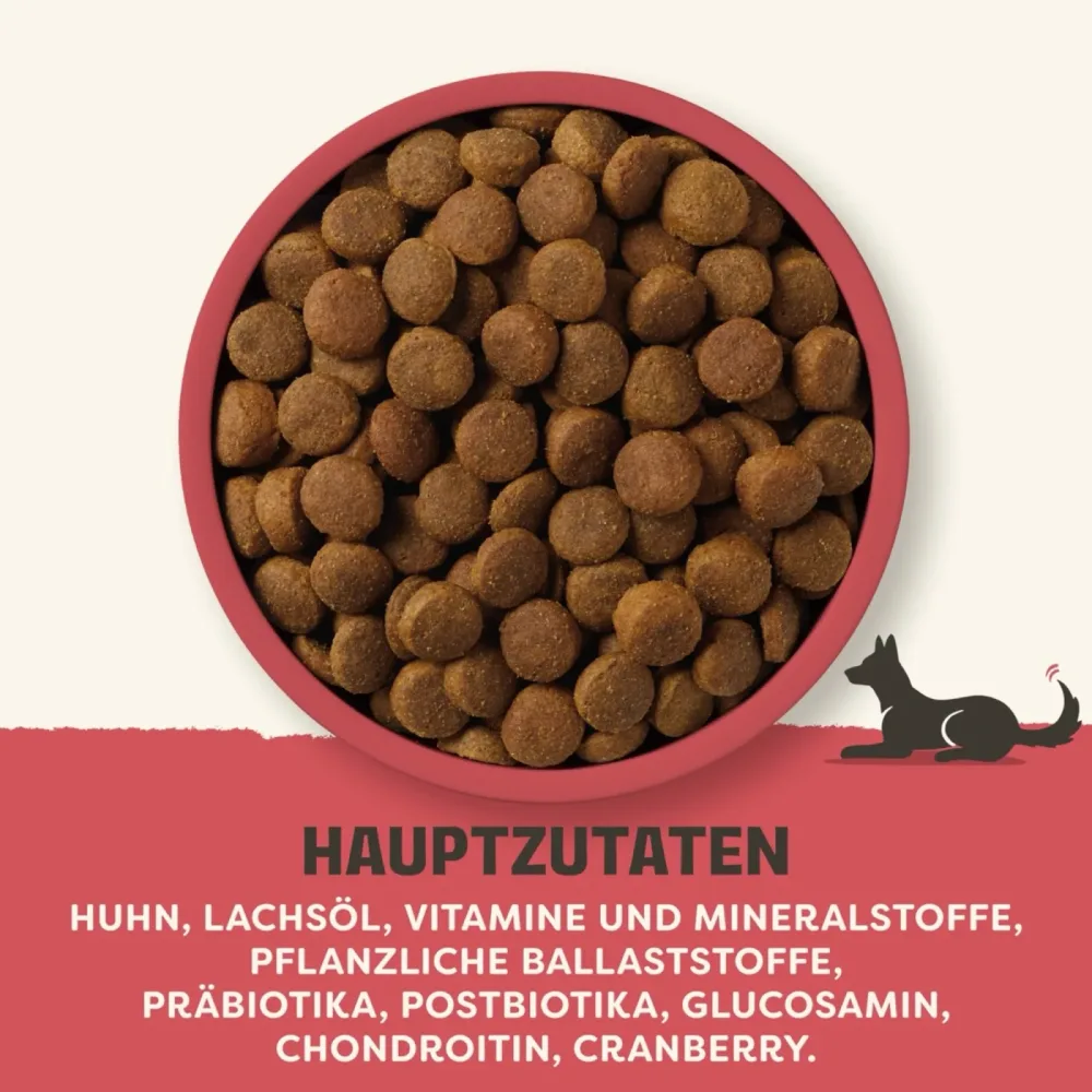 Applaws Adult Huhn Grosse Rassen - 15 kg