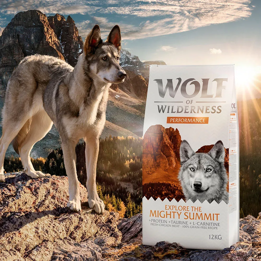 2 x 12 kg Wolf of Wilderness 