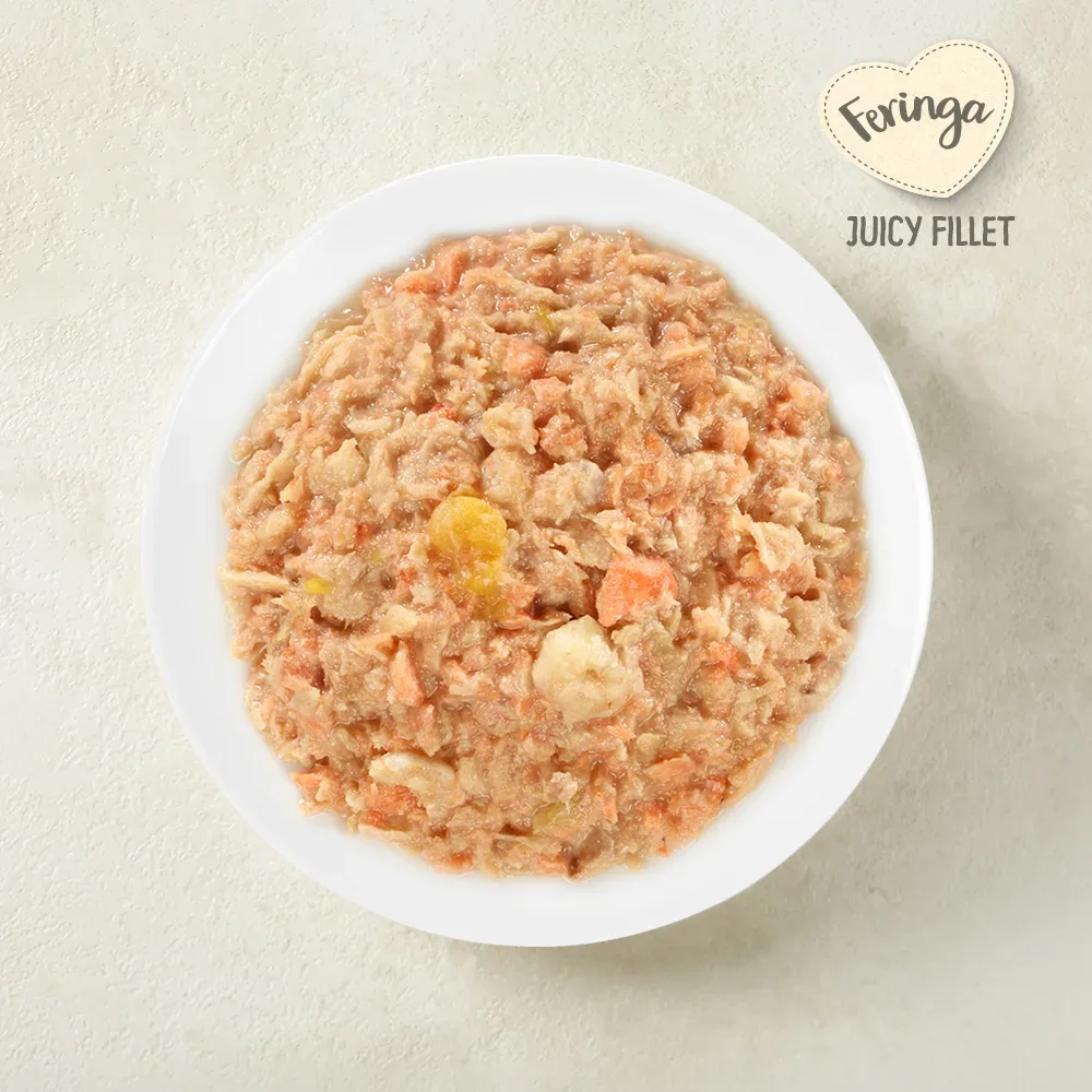 Feringa Juicy Fillet 12 x 70 g - Lachs mit Shrimps