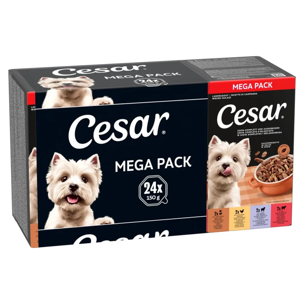 Cesar Mega Pack - Ländliche Eintopfgerichte für erwachsene Hunde