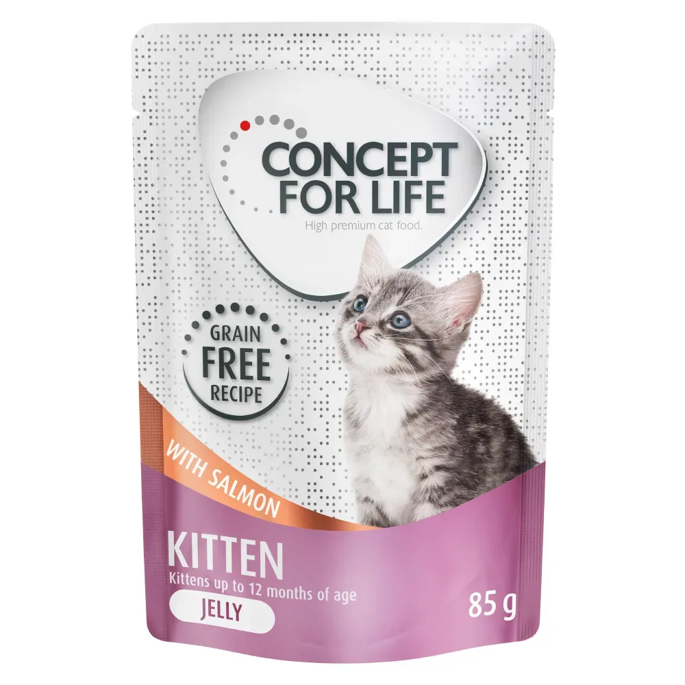 Sparpaket Concept for Life getreidefrei 24 x 85 g - Kitten Lachs - in Gelee