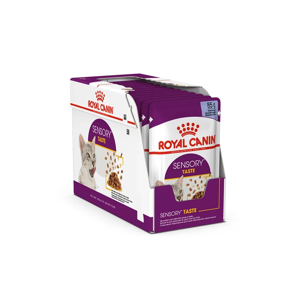 Royal Canin Sensory Taste in Gelee - Sparpaket: 48 x 85 g