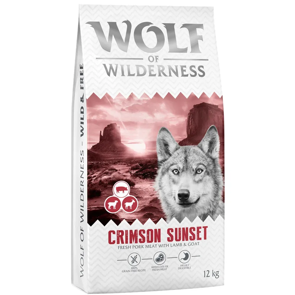Wolf of Wilderness 