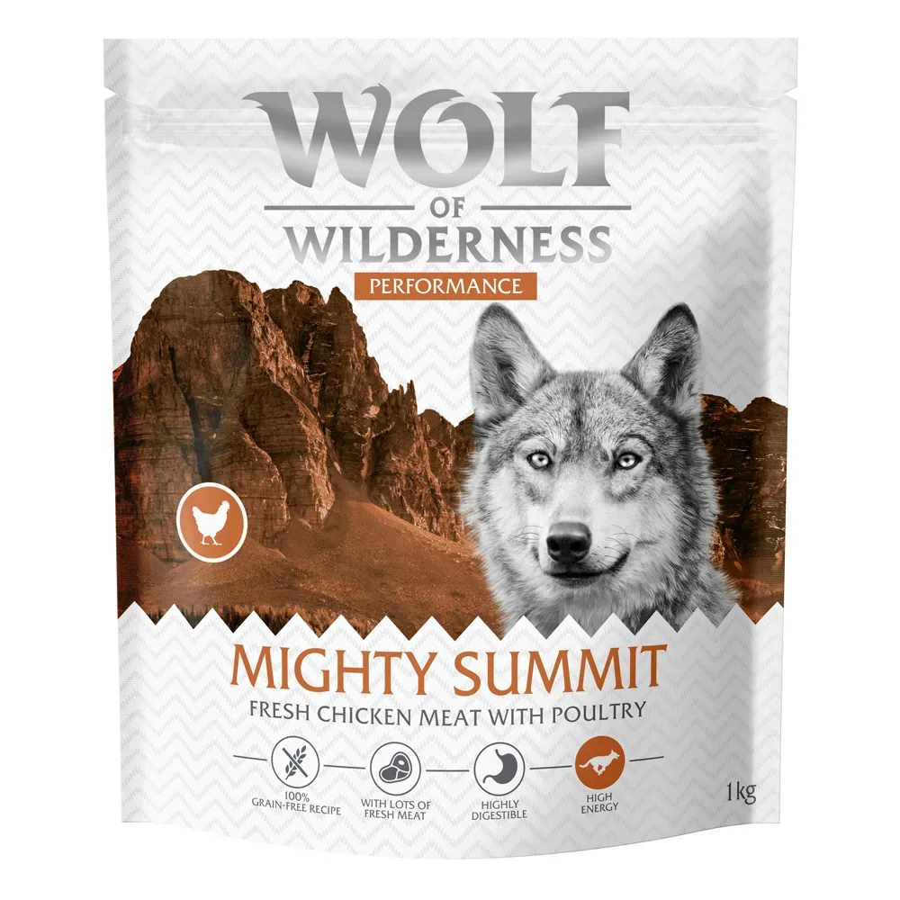 Wolf of Wilderness 