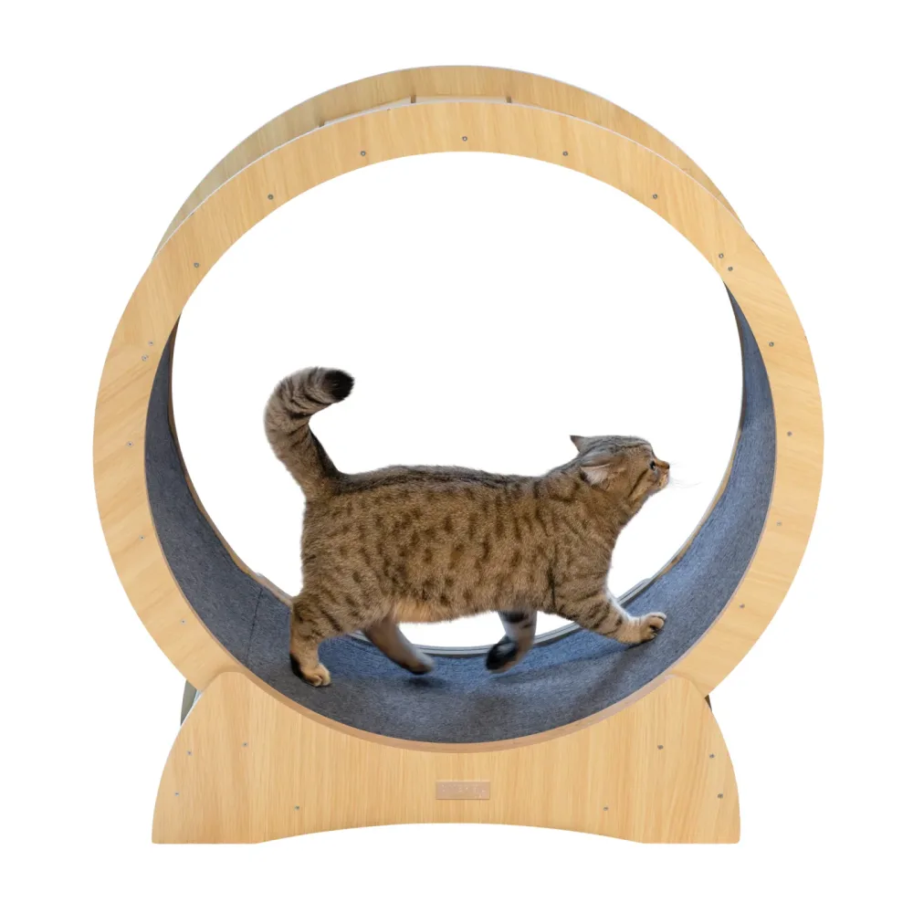 Kerbl Pet Katzenlaufrad - Ø 90 cm