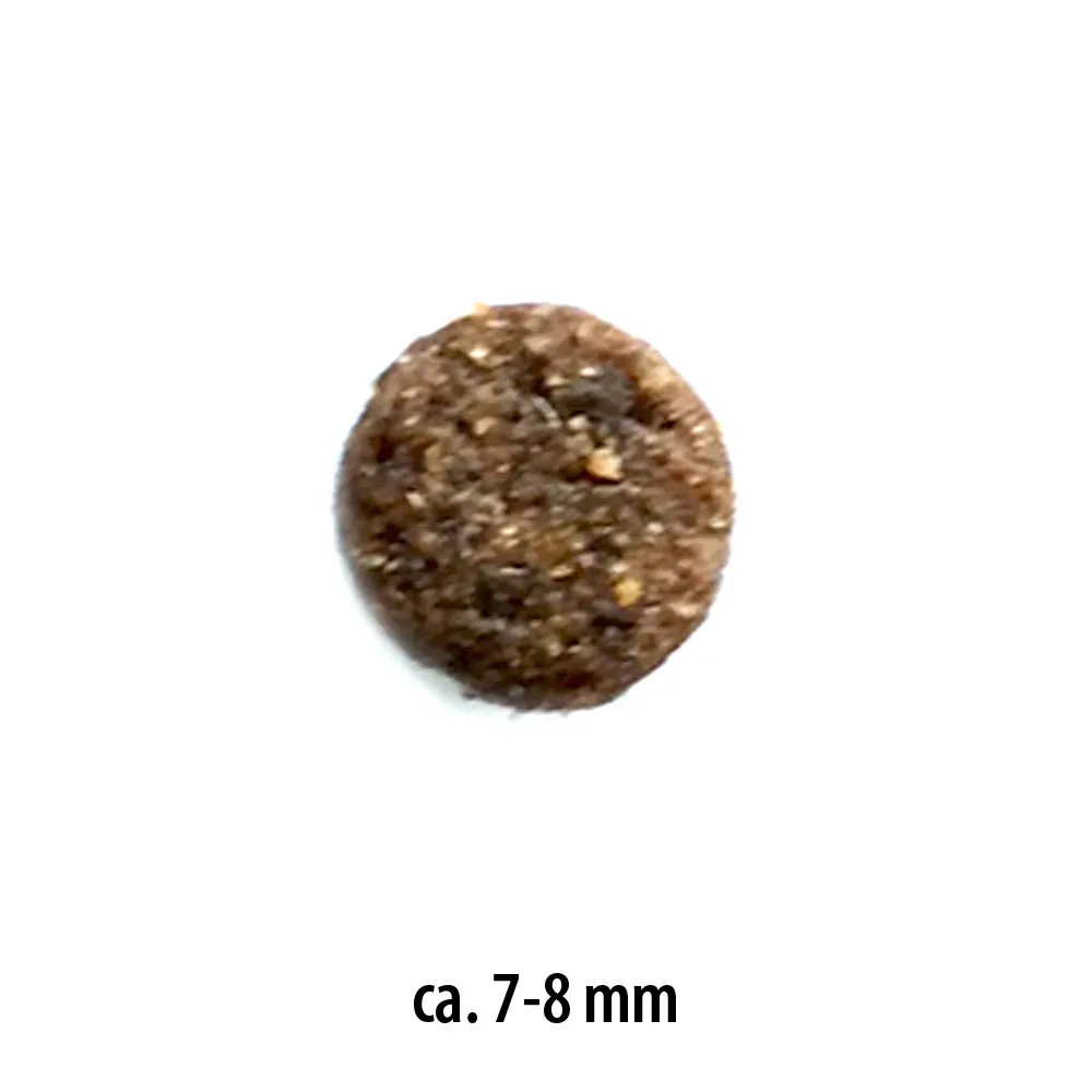 Sparen im Multipack! 2 x Prolife - 2 x 7 kg Grain Free Adult Sensitive Mini Fisch & Kartoffeln