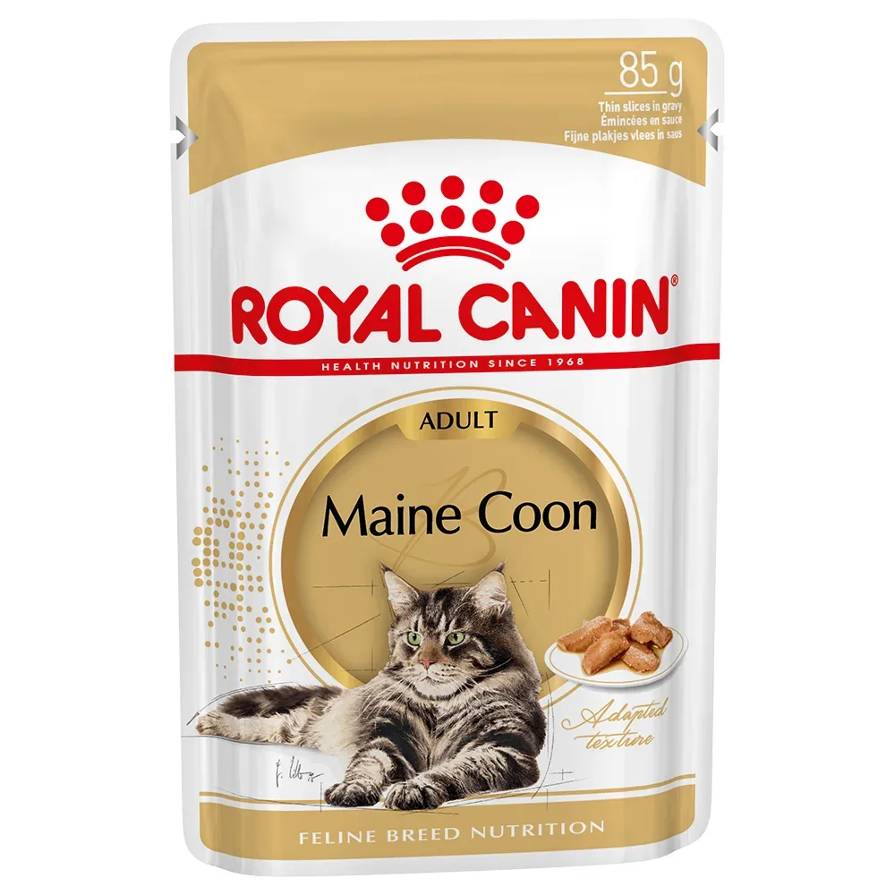 Royal Canin Maine Coon Adult in Sosse - Sparpaket: 24 x 85 g