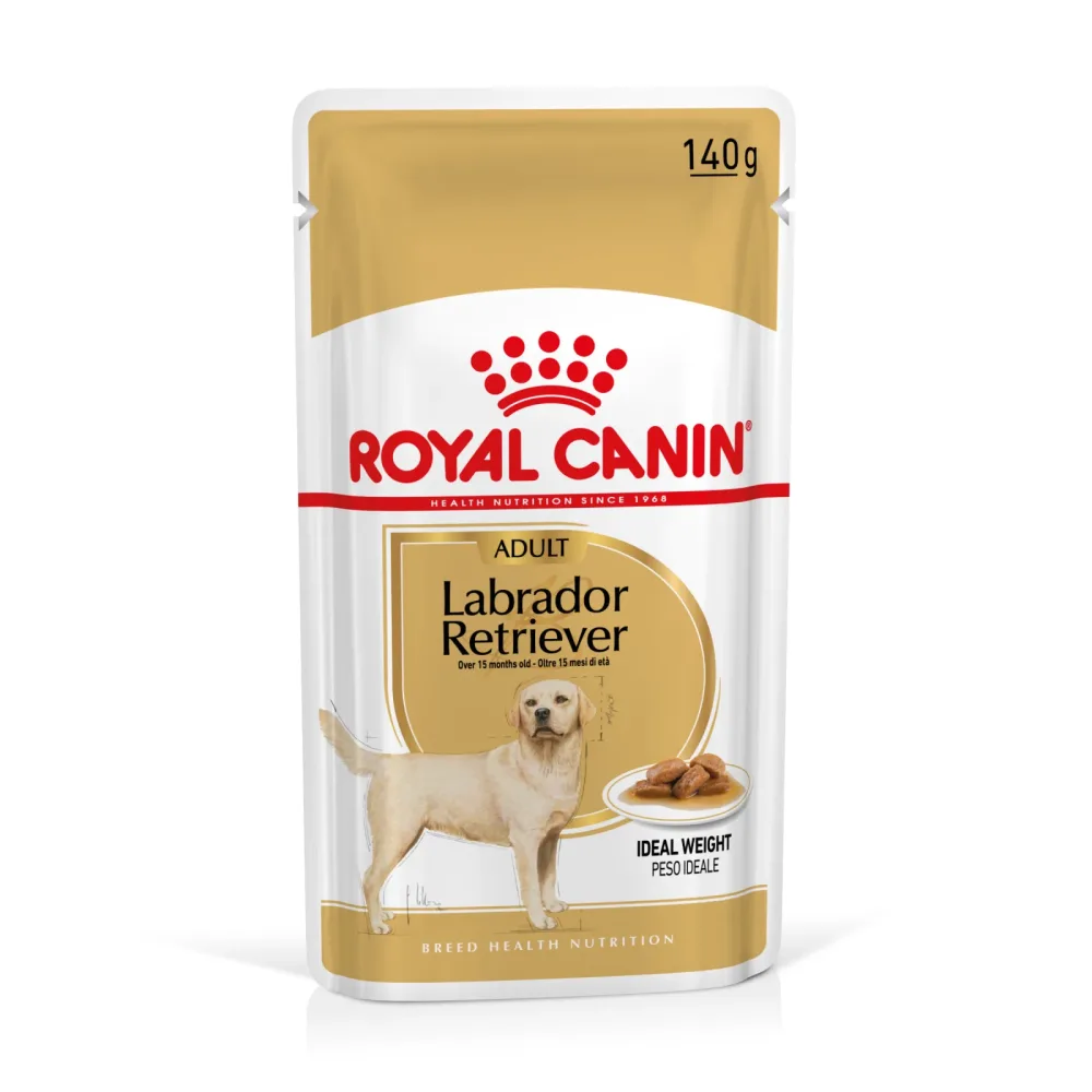 Royal Canin Labrador Retriever Adult in Sosse - 10 x 140 g