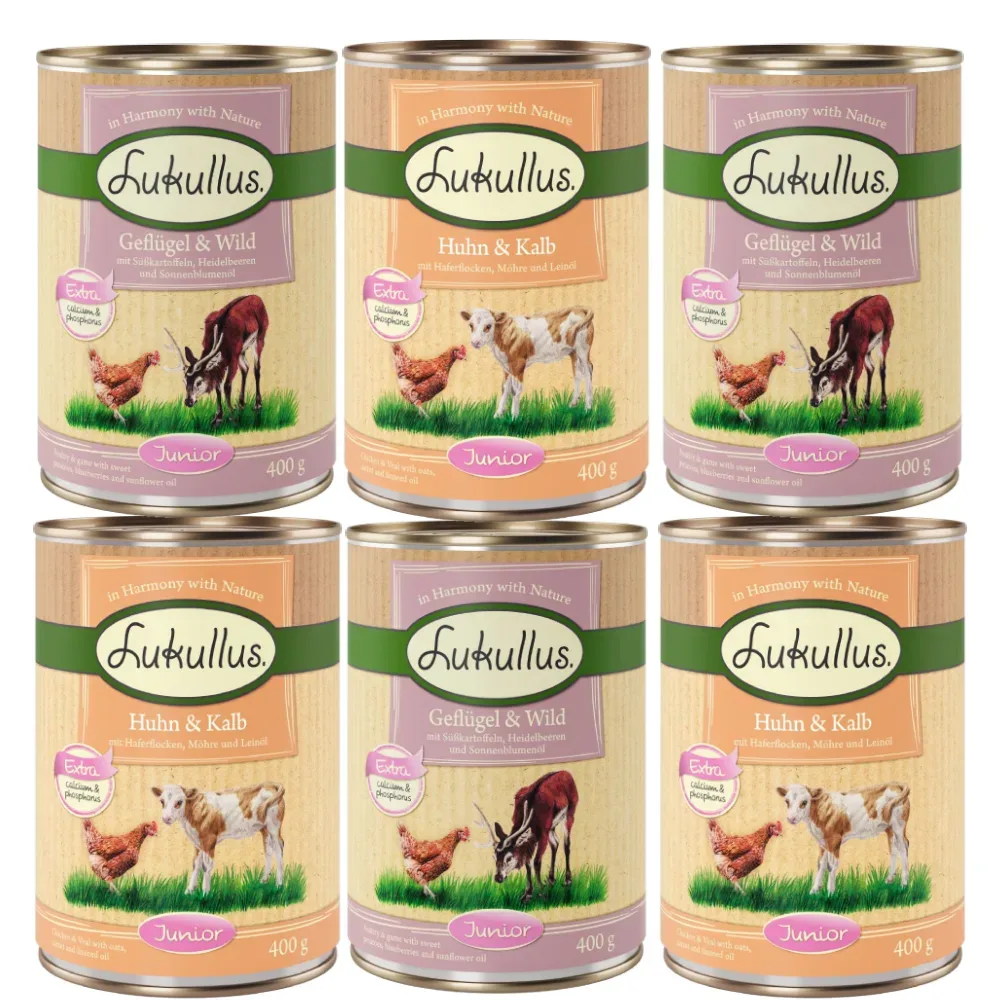 Lukullus Naturkost Junior 6 x 400 g - Mix 1 (2 Sorten)