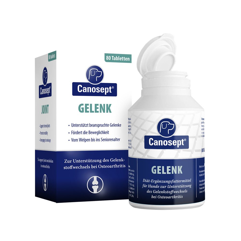 ARDAP Canosept Gelenktabletten 80x1 Stück