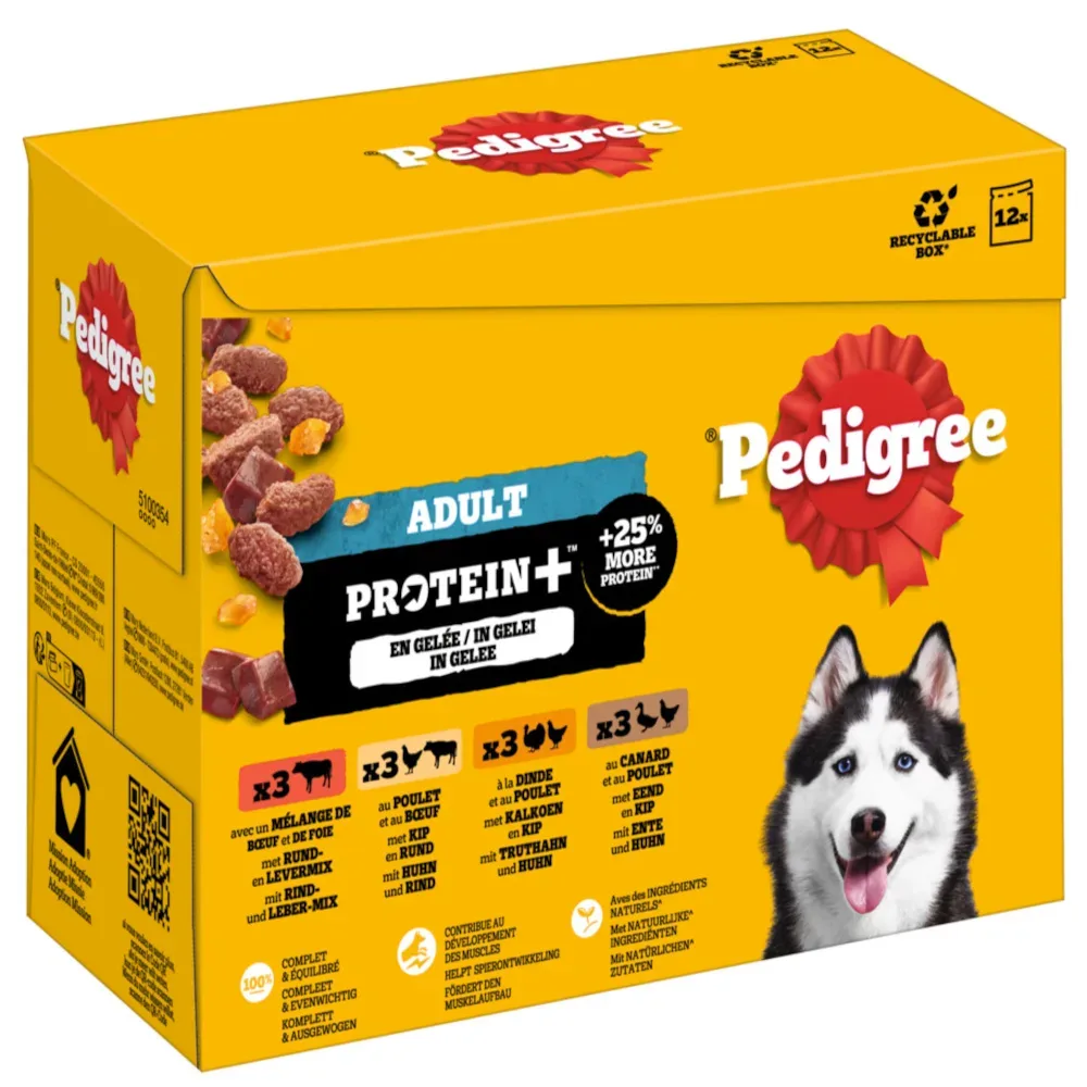 Pedigree Adult Frischebeutel Protein Plus in Gelee - Sparpaket: 48 x 85 g (4 Varietäten)
