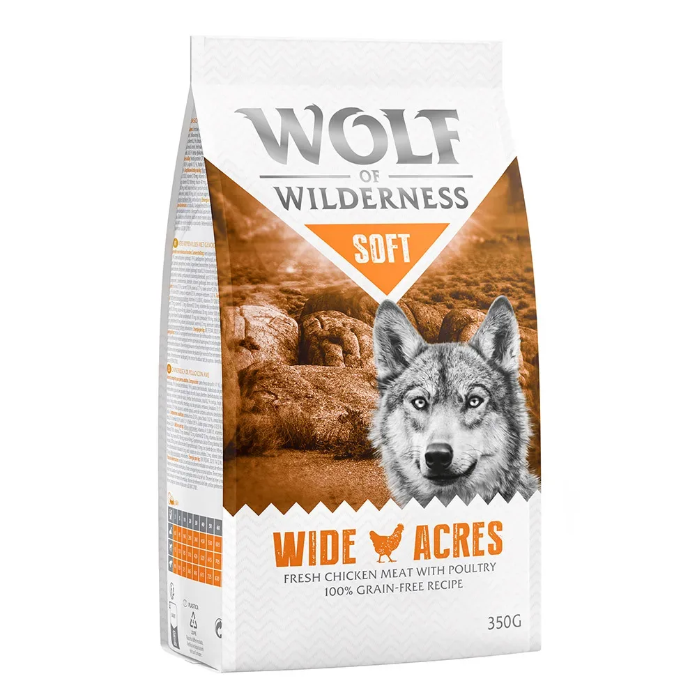 Wolf of Wilderness 