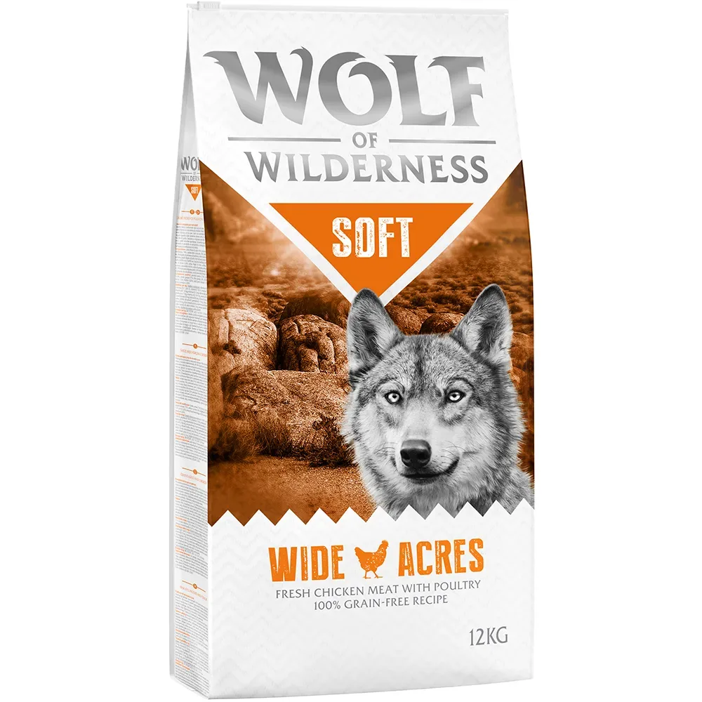 Wolf of Wilderness 