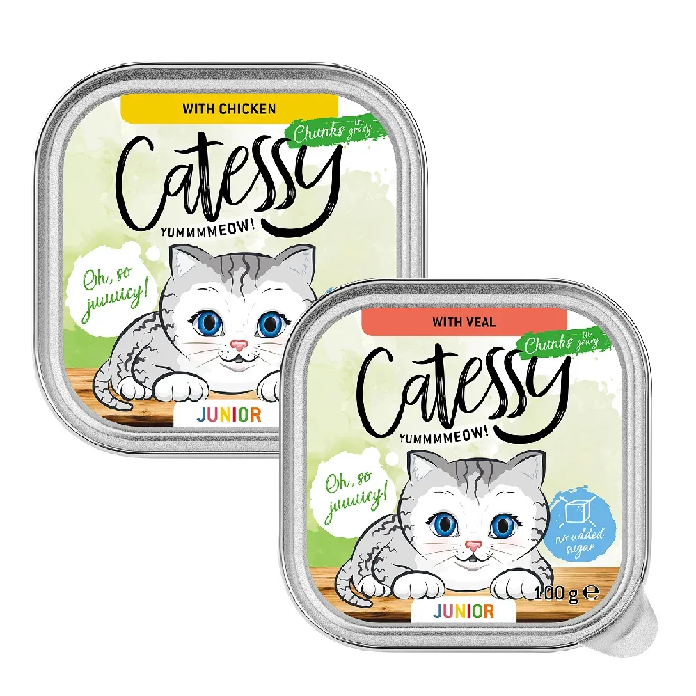 Catessy Junior-Häppchen in Sauce Mix mit 2 Sorten - Sparpaket: 32 x 100 g