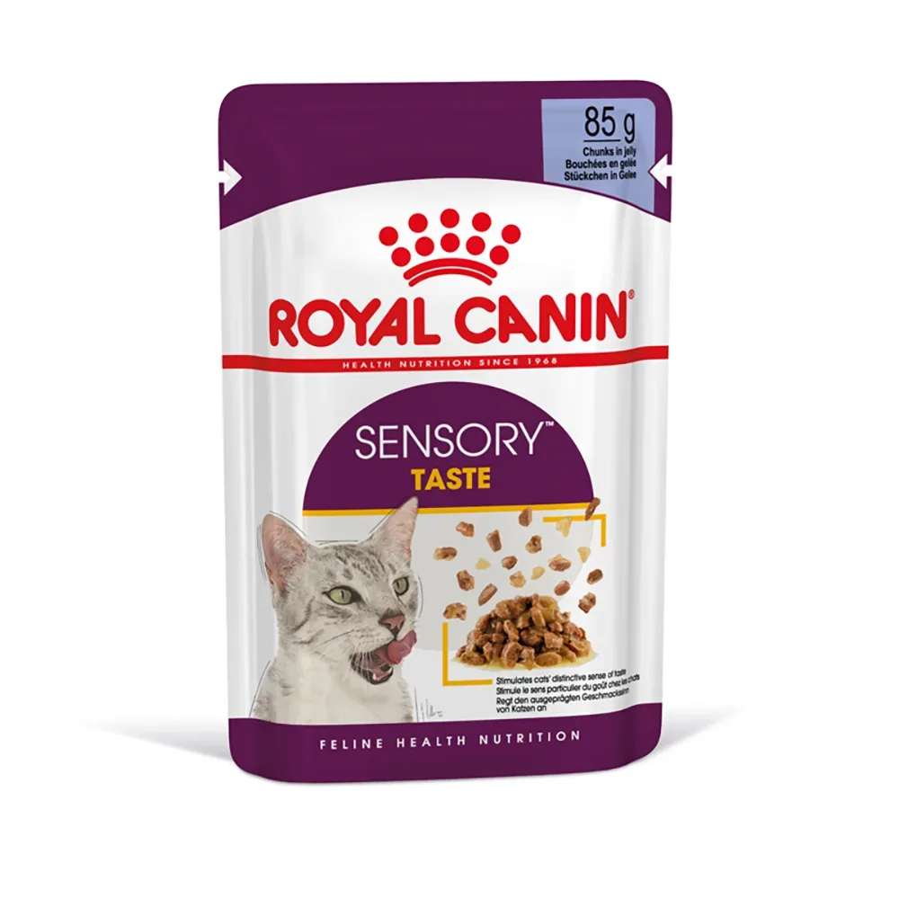 Royal Canin Sensory Taste in Gelee - Sparpaket: 48 x 85 g