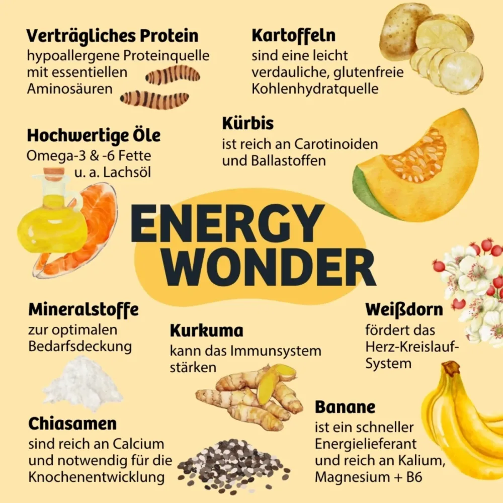 BugBell Trockenfutter Energy Wonder - Sparpaket: 4 x 7 kg