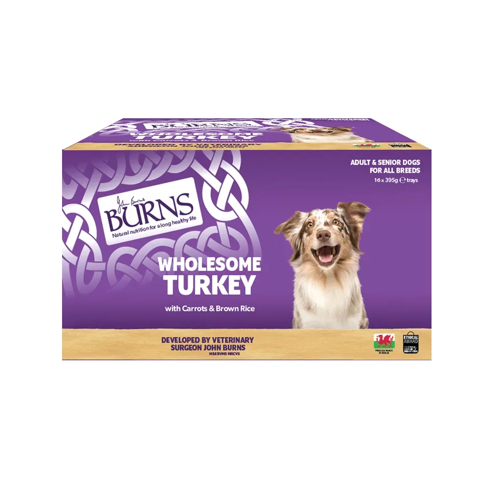 Burns Nassfutter für Hunde 16 x 395 g - Truthahn