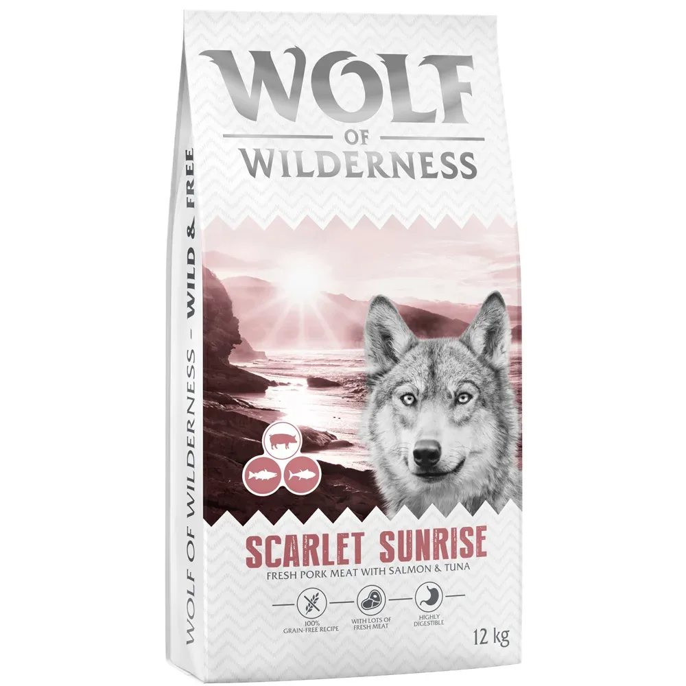 Wolf of Wilderness 