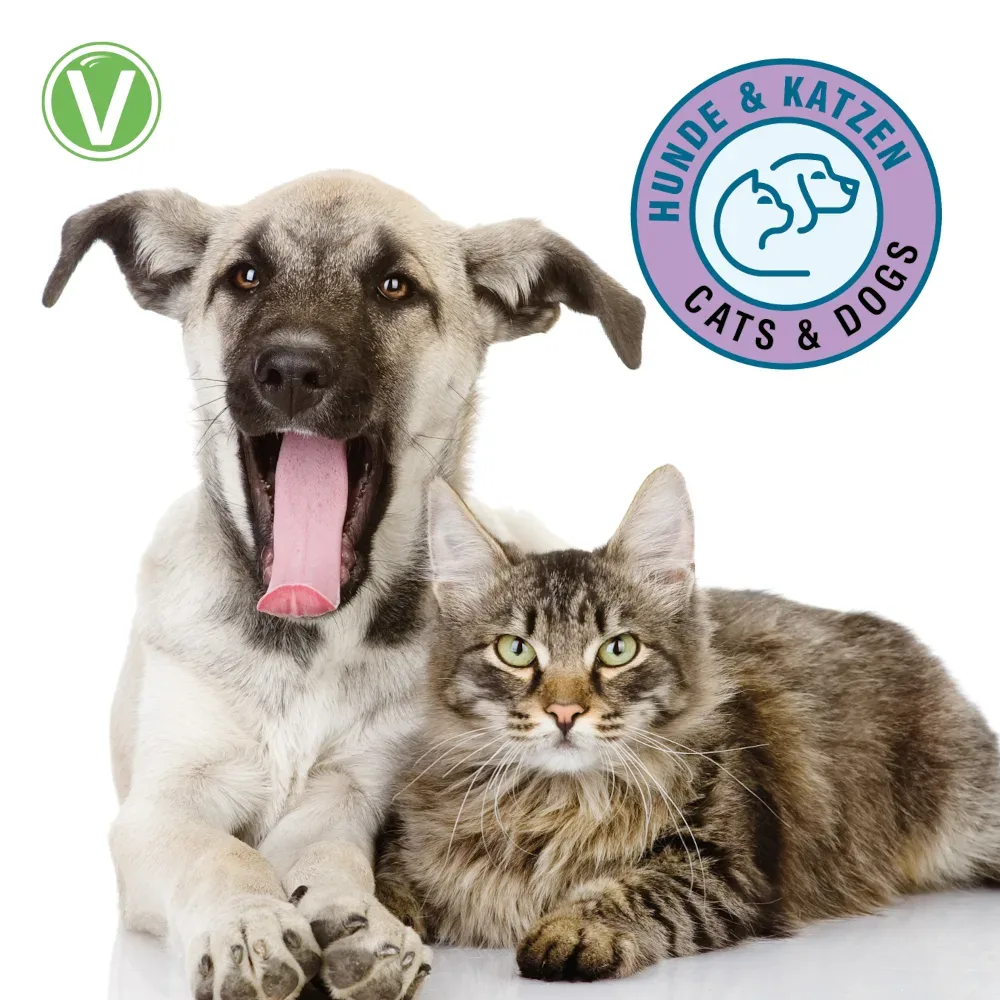 Vetlando Zahnpflegespray - 50 ml