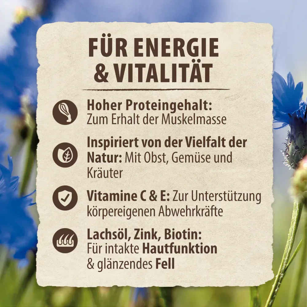 2,4 kg gratis! Purizon Adult - getreidefrei 14,4 kg - Lachs mit Huhn