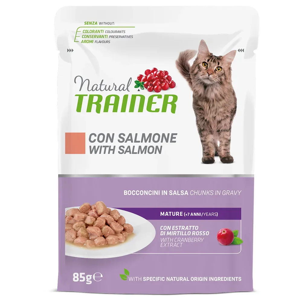 Natural Trainer Mature mit Lachs - 12 x 85 g