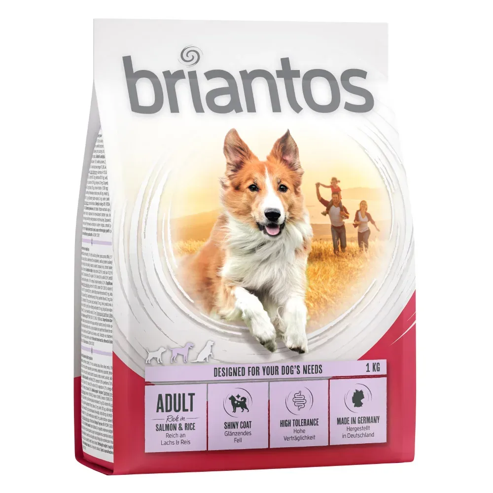 Sparpaket Briantos 2 x Grossgebinde - Adult Lachs & Reis  (2 x 14 kg)
