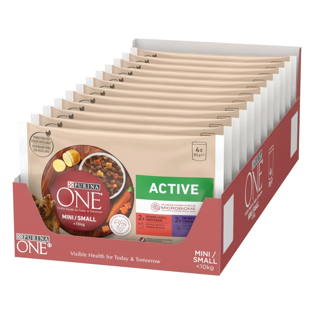 Purina ONE Mini Active Rind & Ente - Sparpaket: 12 x 85 g