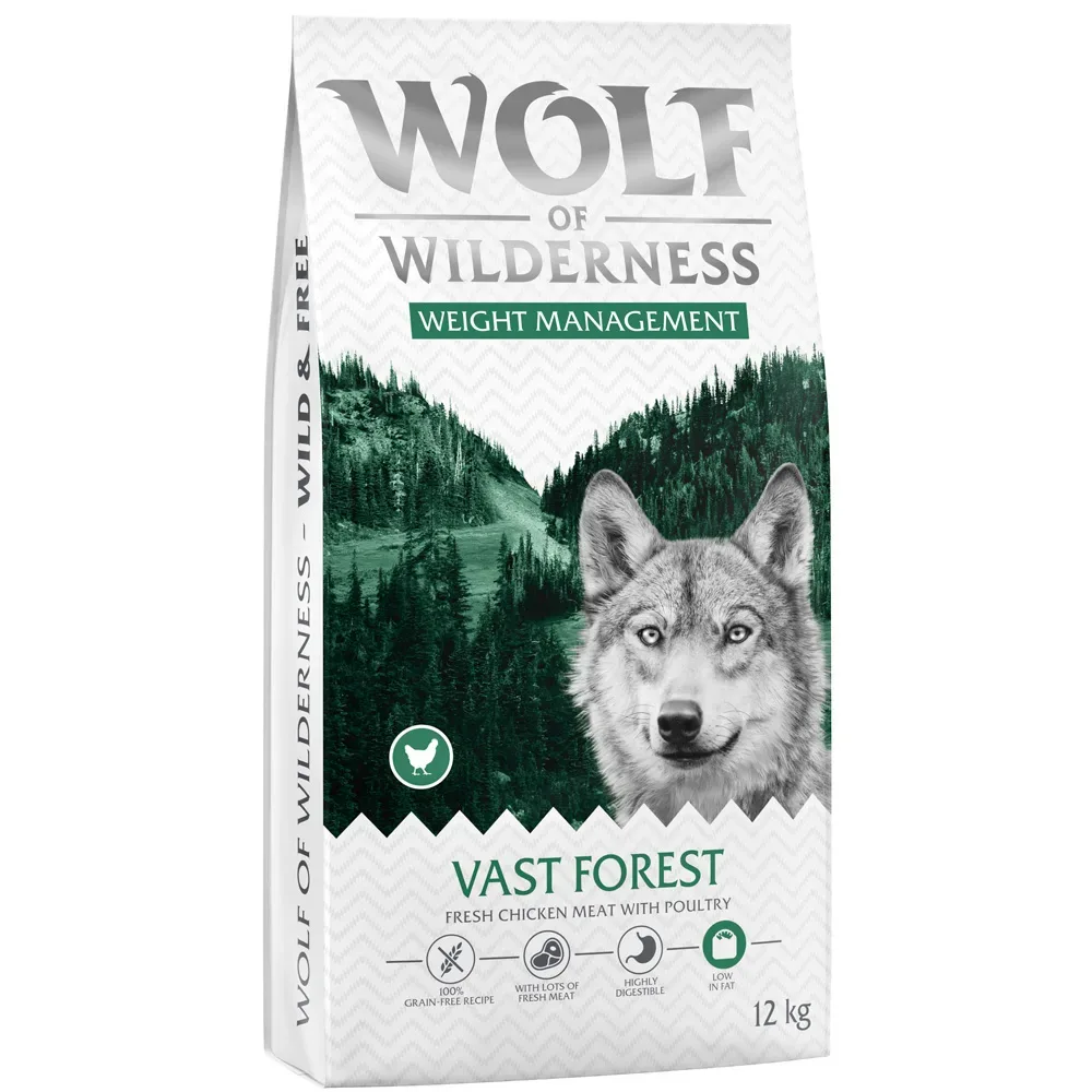 Wolf of Wilderness 
