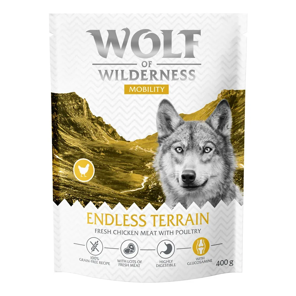 Wolf of Wilderness 