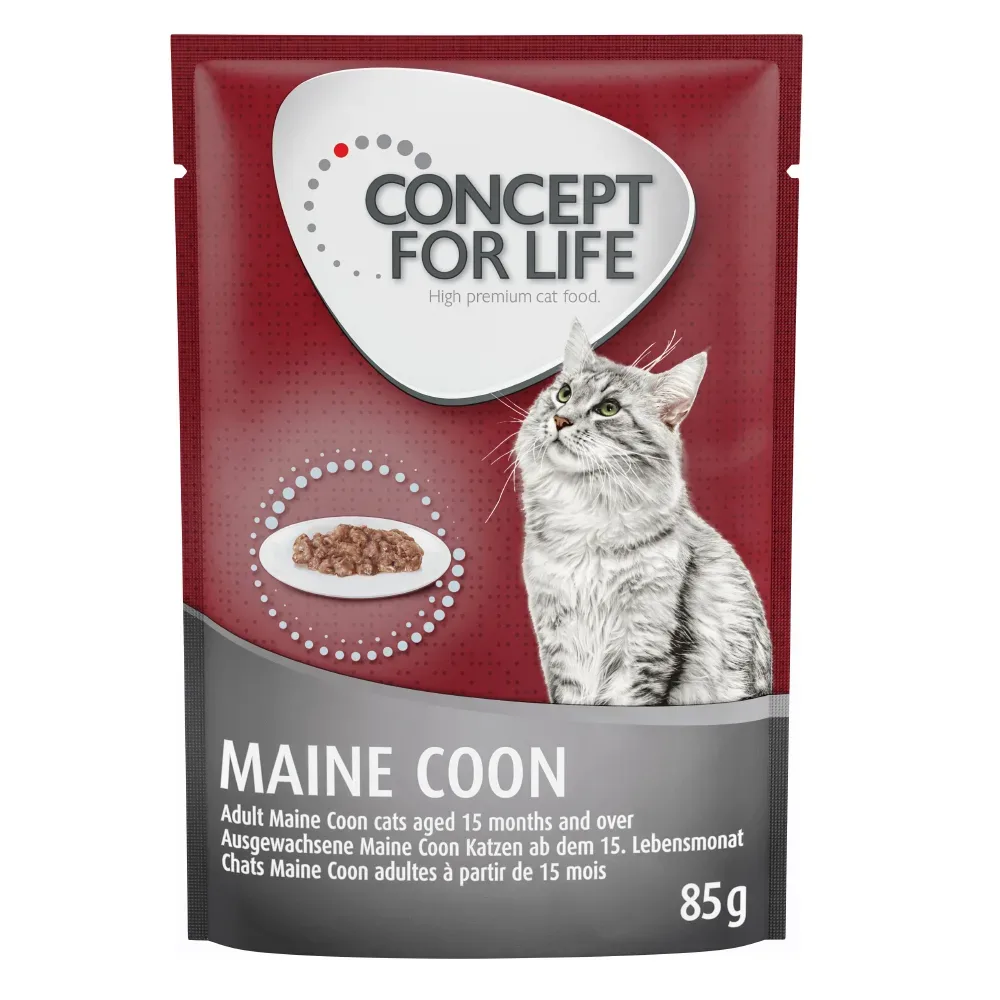 Concept for Life Maine Coon Adult (Ragout-Qualität) - 12 x 85 g