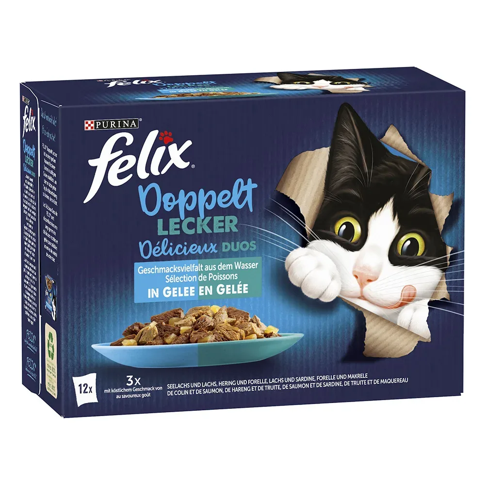 Felix 